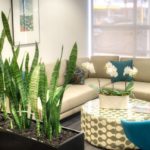 Location de plantes en entreprise - lounge