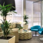 Location de plantes en entreprise - lounge