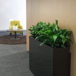Location de plantes en entreprise - hallway-trough