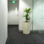 Location de plantes en entreprise - hallway-feature