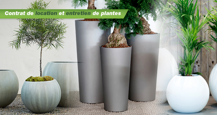 Contrat de location et entretien de plantes