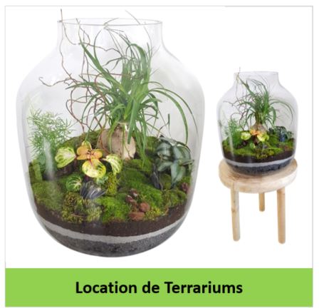 location de terrariums GESTE VERT